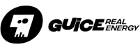 partners